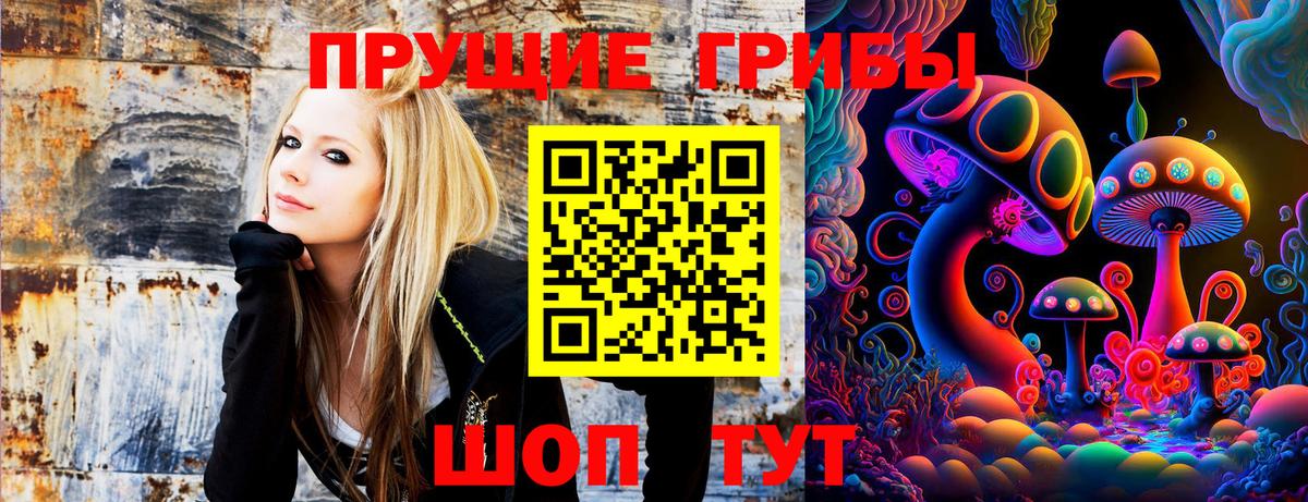 Псилоцибиновые грибы ЛСД Домодедово